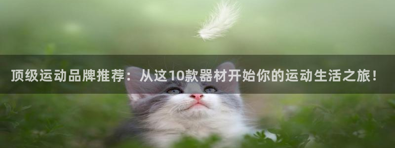 海南风速体育官网下载：顶级运动品牌推荐：从这10款器