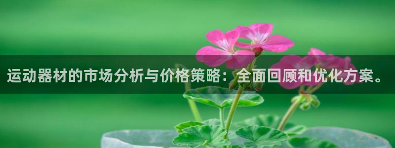 风速体育官网下载平台注册要钱吗安全吗：运动器材的市场