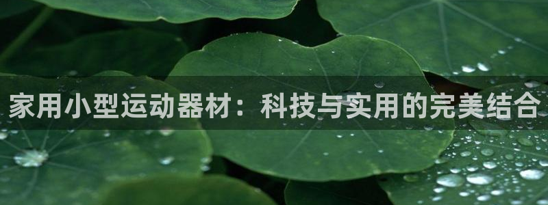 风速体育官方正版app娱乐首页网站大全：家用小型运动