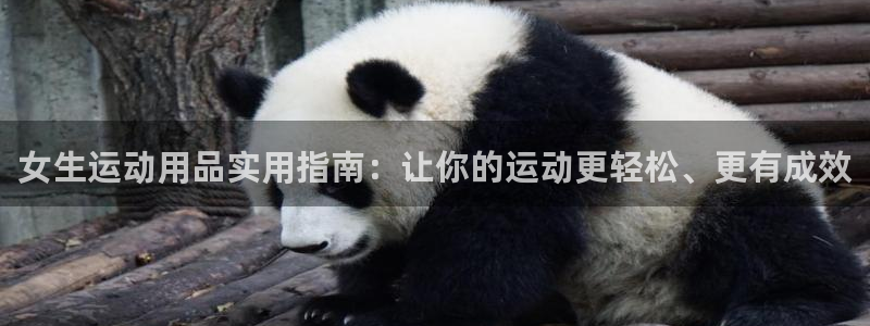 风速体育官方正版app集团官网首页