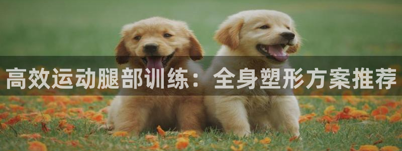 注册风速体育官方正版app：高效运动腿部训练：全身塑形方案推