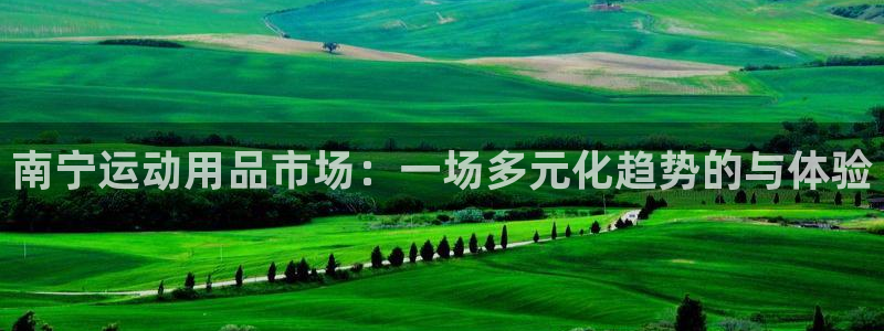 风速体育官网下载：南宁运动用品市场：一场多元化趋势的与体验