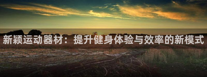 风速体育官网下载注册：新颖运动器材：提升健身体验与效率的新模