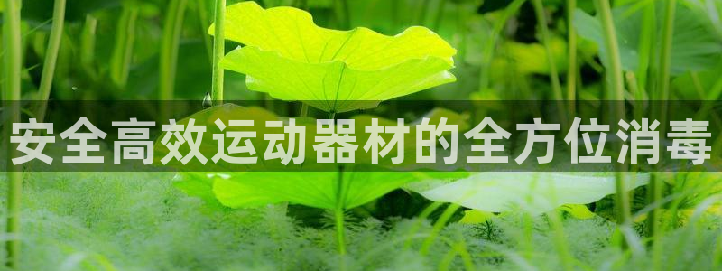 风速体育官网下载联系电话：安全高效运动器材的全方位消毒