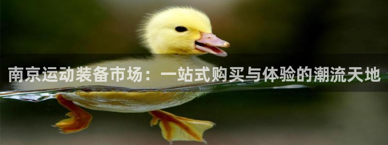 风速体育官网下载招商电话地址：南京运动装备市场：一站式购买与