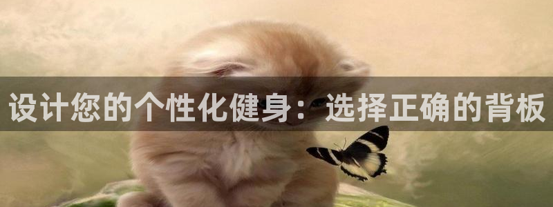 风速体育官网下载平台注册要钱吗安全吗：设计您的个性化健身：选